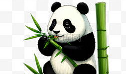 大熊猫漫画,自然界的“国宝”风采